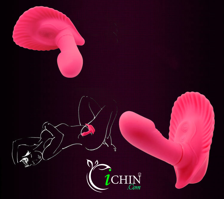 Pretty Love Fancy Clamshell