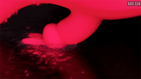 Máy rung 3 trong 1 của aixiASIA trang bị 2 động cơ khác nhau 