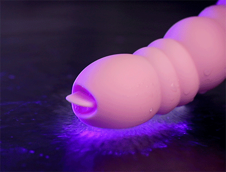 Rung nhánh kích thích âm đạo và điểm G