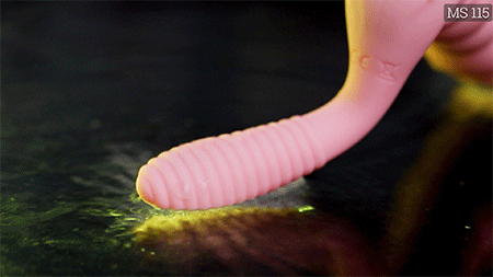 Rung nhánh hậu môn