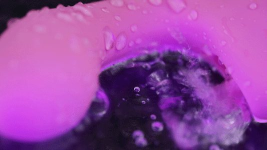 Chế độ liếm của Kiss Flicker CalExotics 