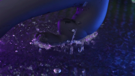 Rung động đa dạng