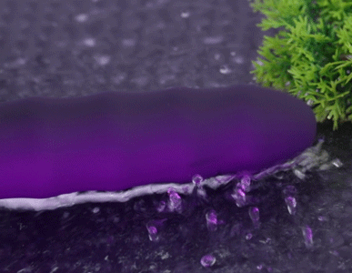 Fifty Shades Freed Deep Inside sở hữu đến 10 chế độ rung khác nhau,