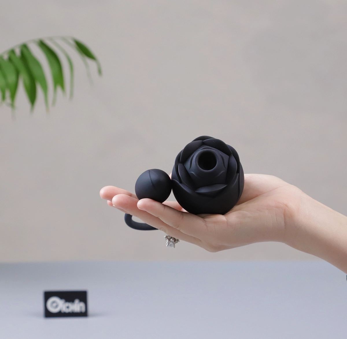 Lovehoney Dark Blushing Rose được chụp thực tế bởi Oichin