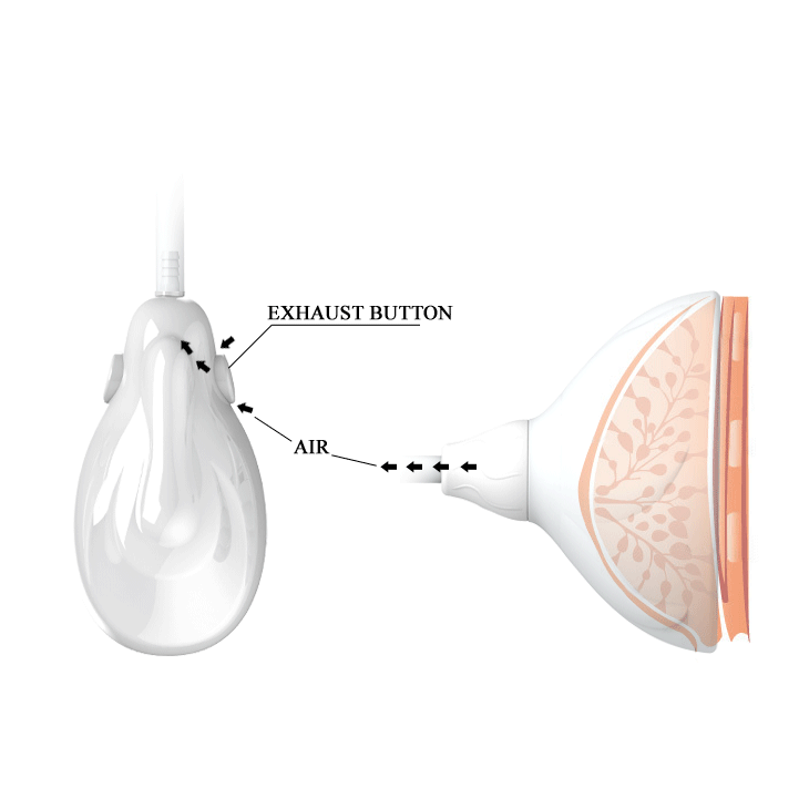 Cơ chế rung kích thích giúp máu lưu thông ở ngực tốt hơn, làm to vòng 1