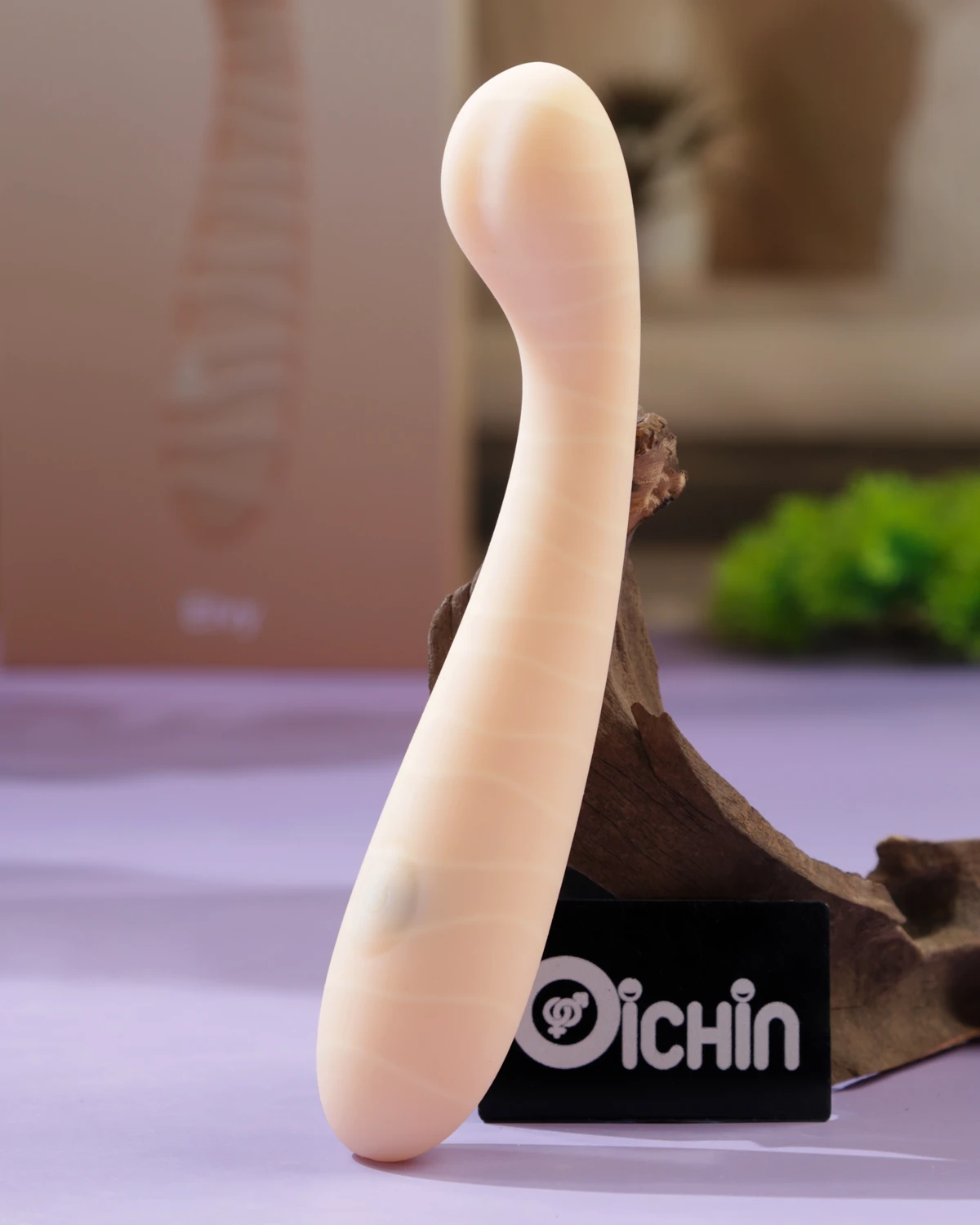 Oichin Elvy