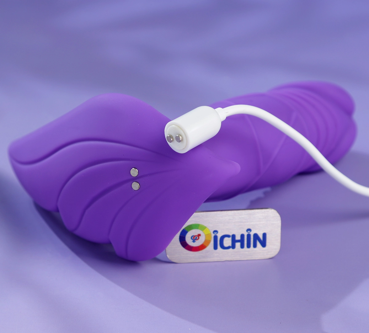 Chân sạc từ tính của sản phẩm