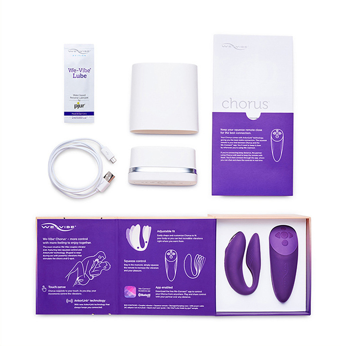 We-vibe Chorus full bộ sản phẩm