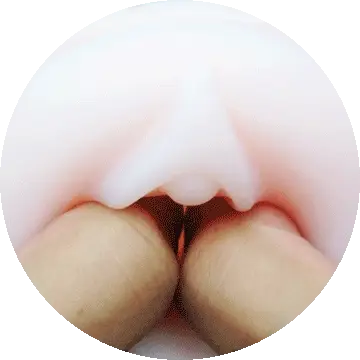 Lovense Max 2 Vagina Sleeve lõi thay thế