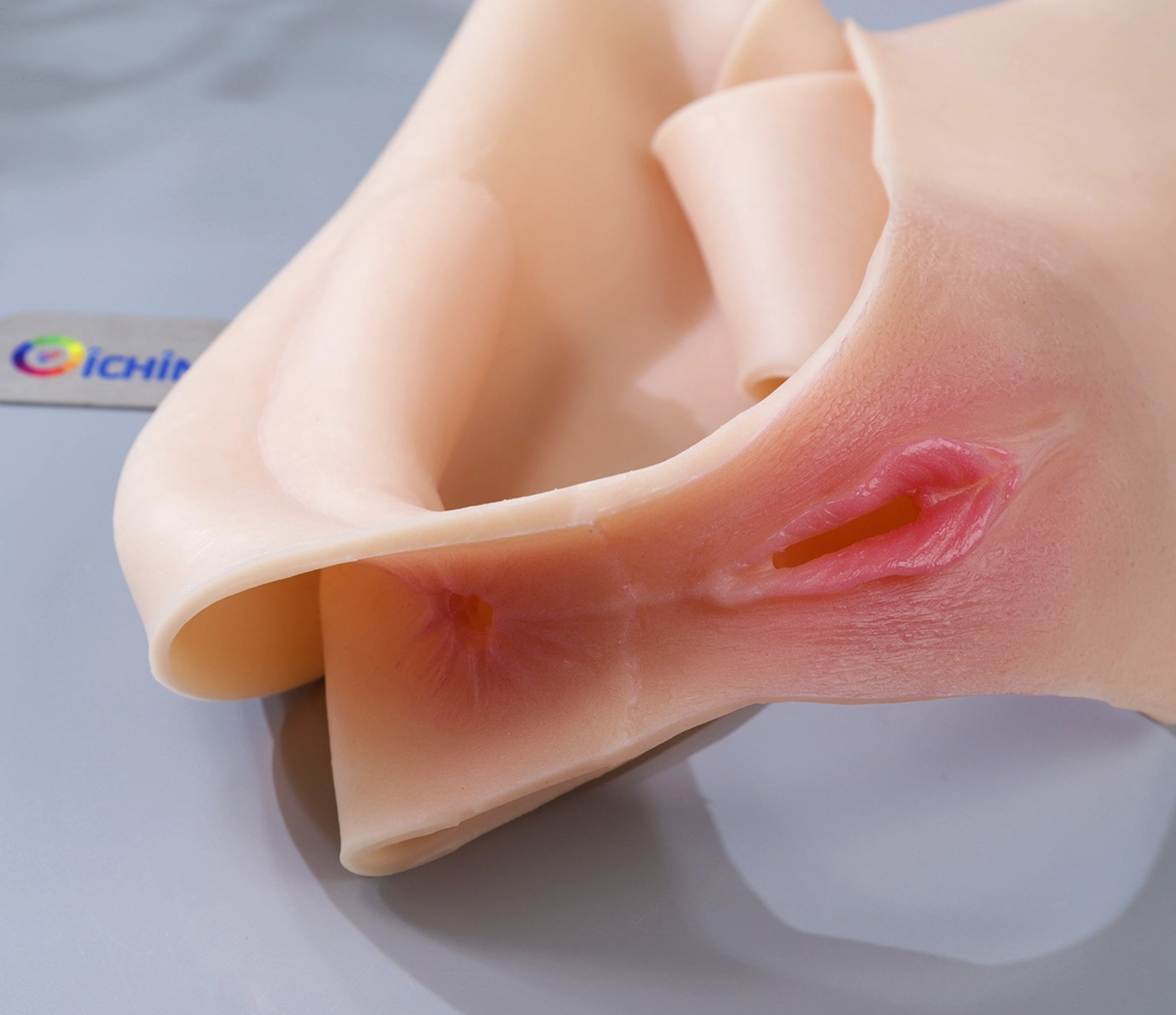 Thiết kế chân thực 2 lỗ âm đạo, hậu môn