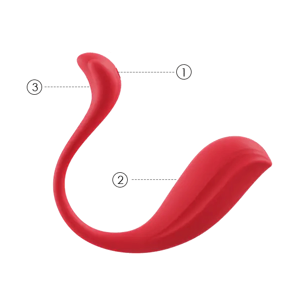 Svakom Phoenix Neo 2