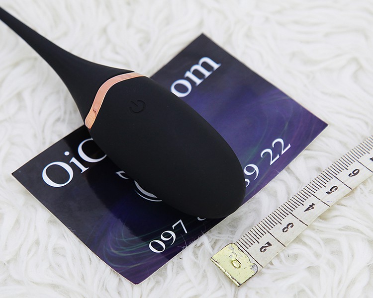 Trứng rung cá heo