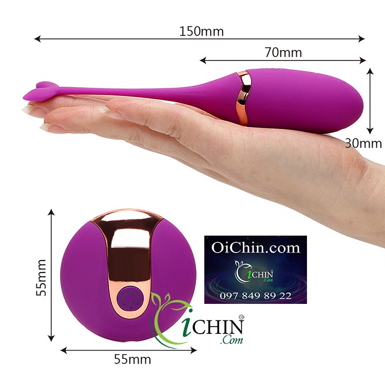 Trứng rung cá heo