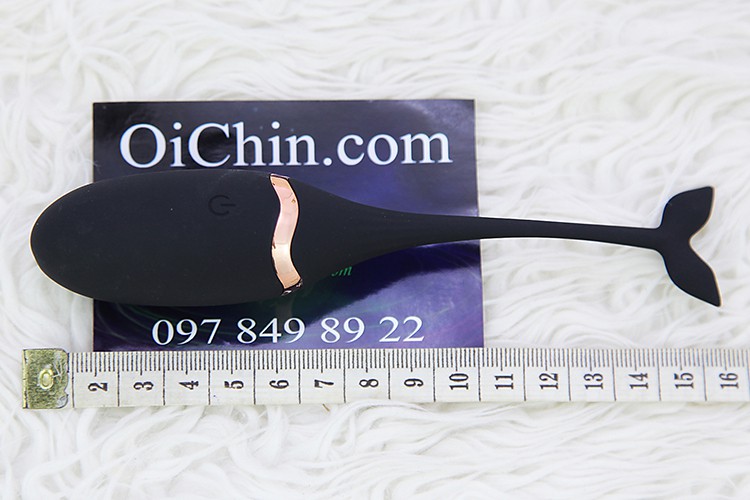 Trứng rung cá heo