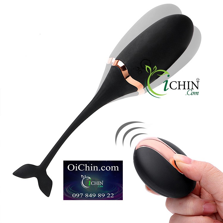 Trứng rung cá heo