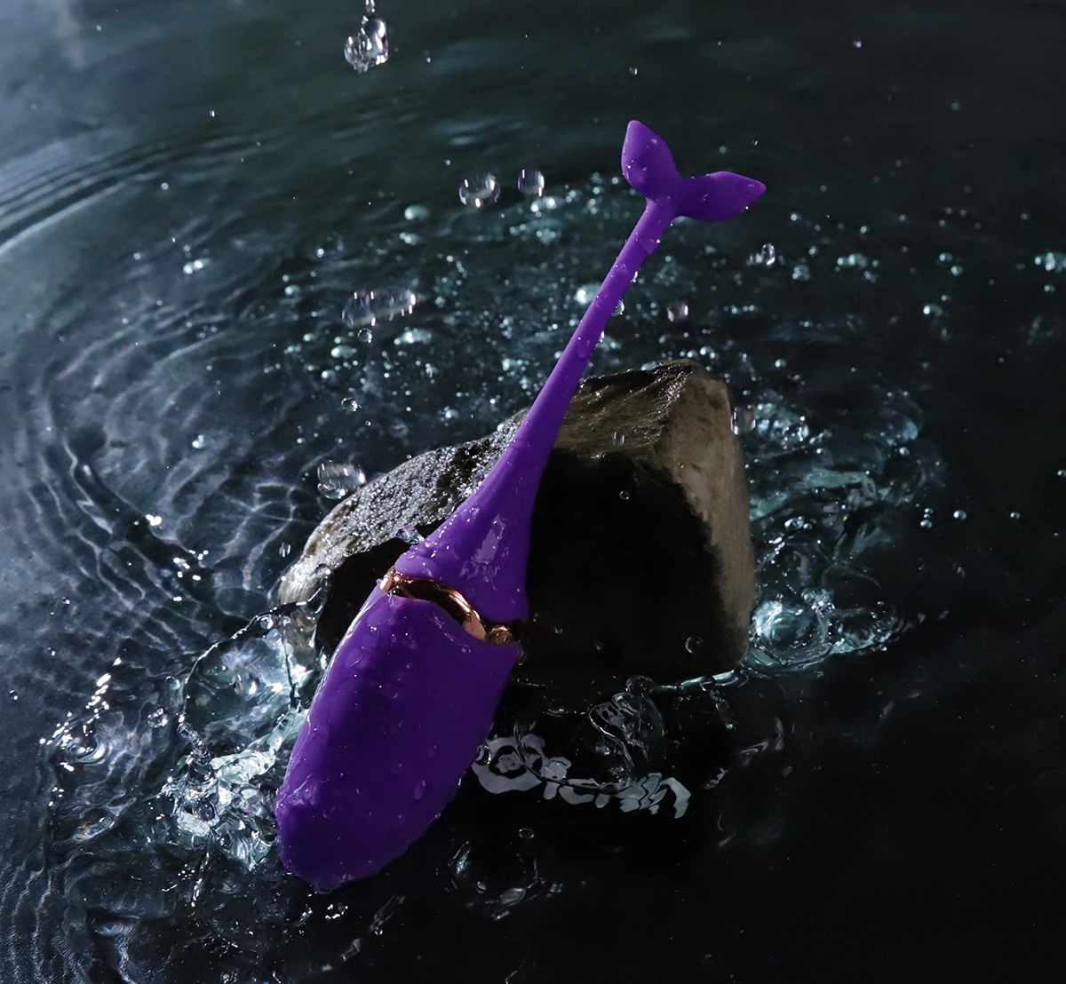 Trứng rung cá heo