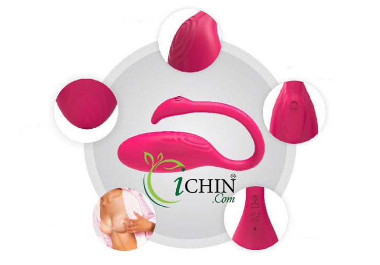 Trứng rung thiên nga Flamingo