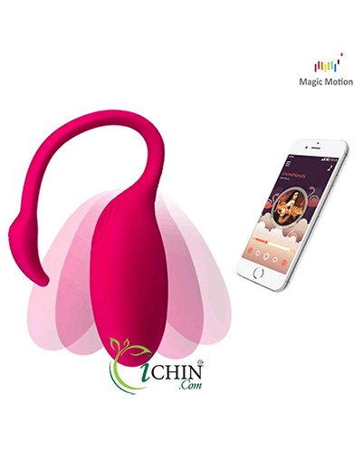 Trứng rung thiên nga Flamingo