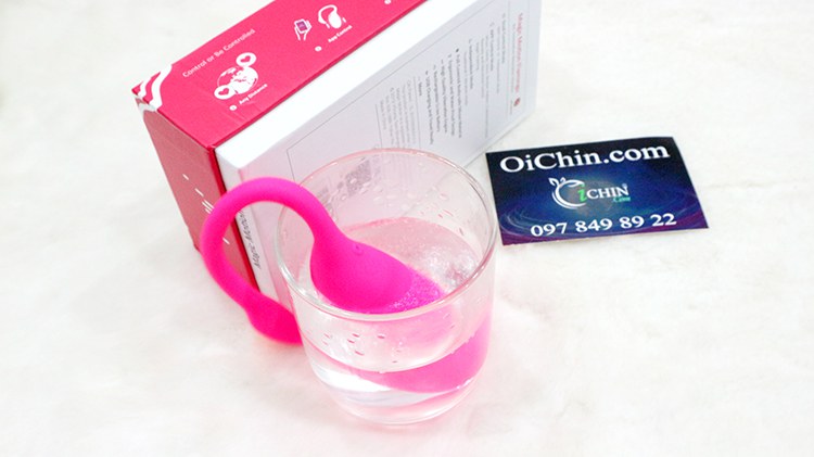 Trứng rung thiên nga Flamingo