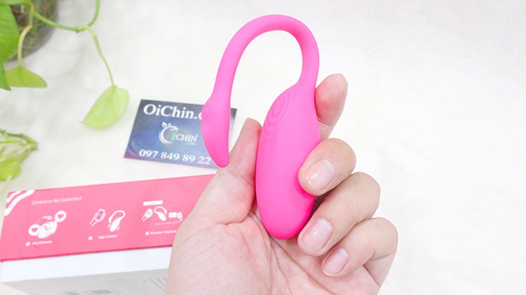 Trứng rung thiên nga Flamingo