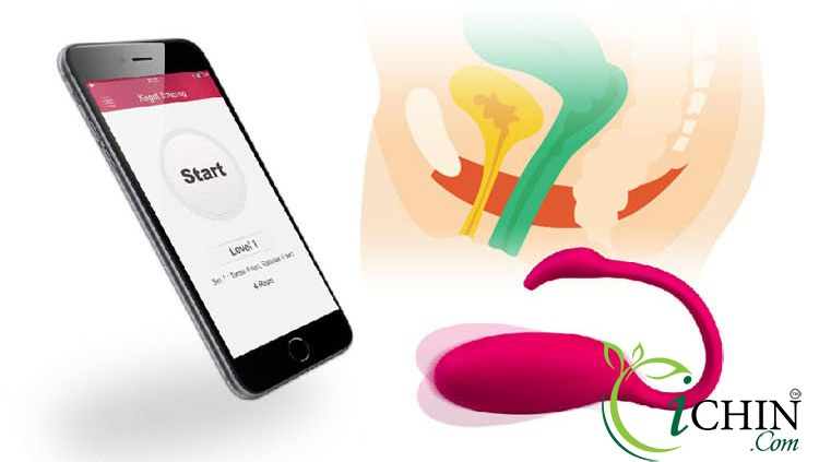 Trứng rung thiên nga Flamingo