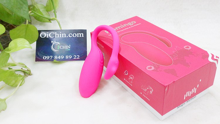 Trứng rung thiên nga Flamingo