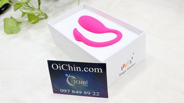 Trứng rung thiên nga Flamingo