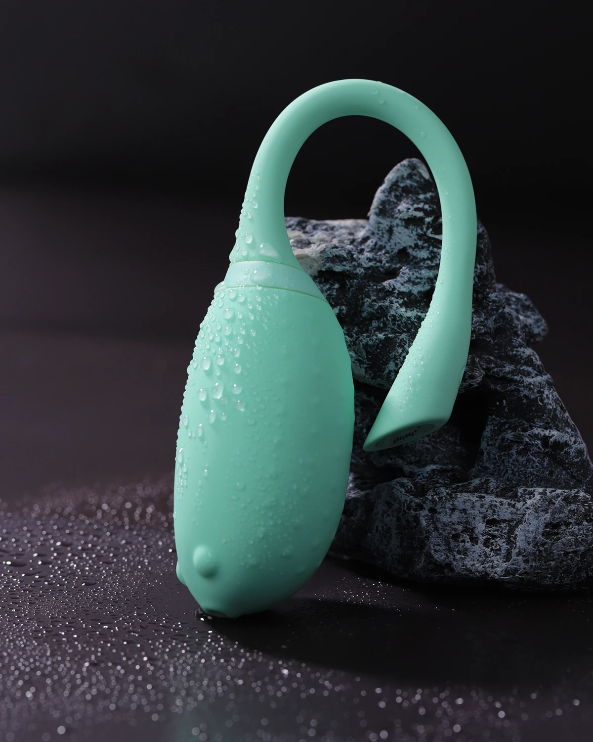 Biến thể TR64G của Magic Motion Fugu