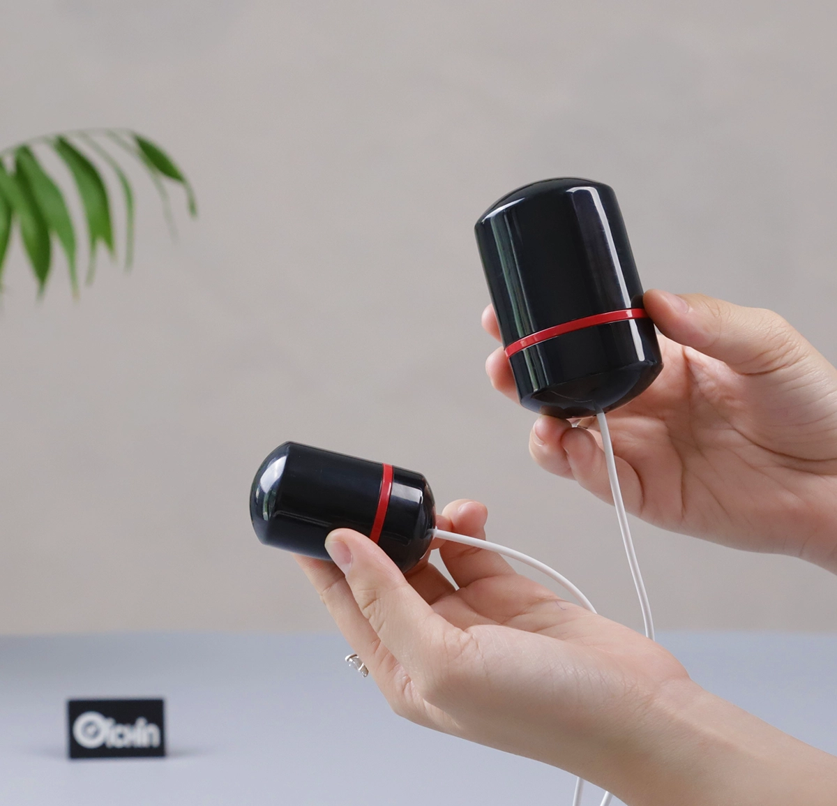 2 cục trứng rung của máy rung