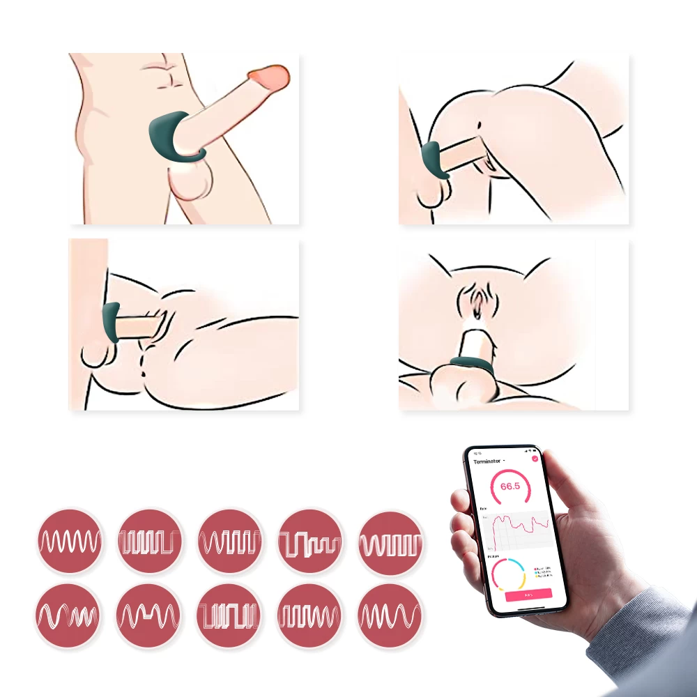 Magic Motion Dante II