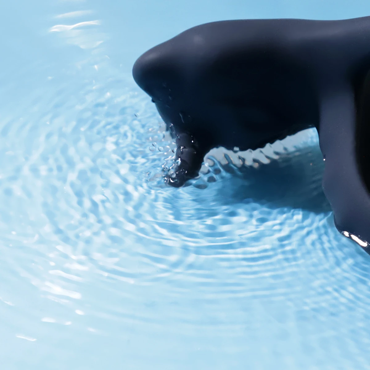 12 chế độ rung đa dạng