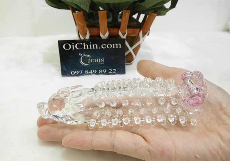 Đôn dên gai đầu rồng