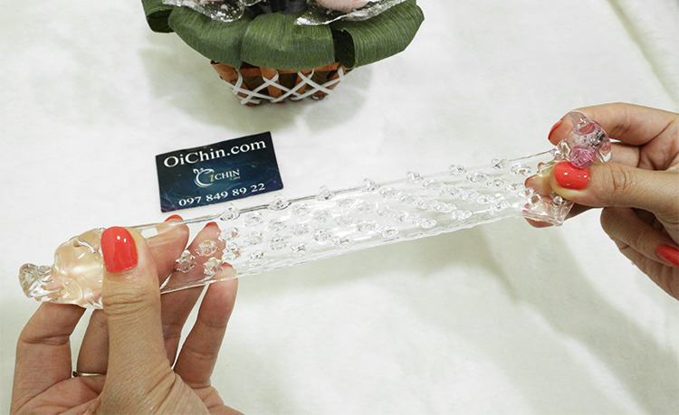 Đôn dên gai đầu rồng