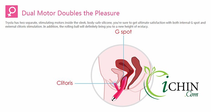 Svakom Trysta Svakom Trysta có 2 động cơ hoạt động 2 điểm