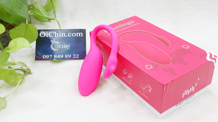 Trứng rung thiên nga Flamingo